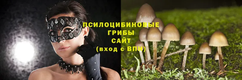 Галлюциногенные грибы GOLDEN TEACHER  цены   Ковдор 